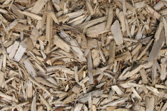biomass boilers Gronant